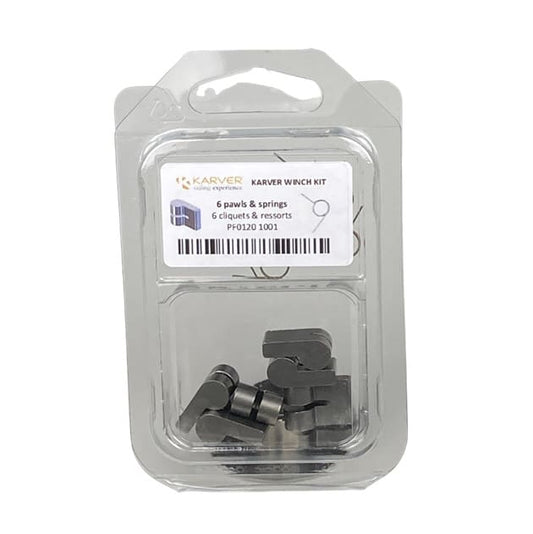 KIT 6 PAWLS & SPRINGS