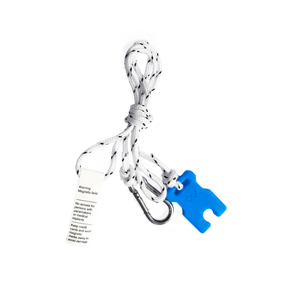 Dual Remote Kill Switch