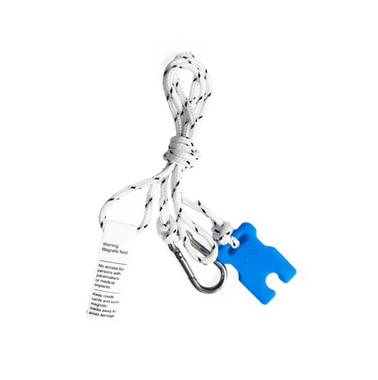 Dual Remote Kill Switch